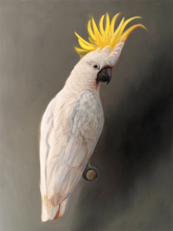 This artwork features a yellow crested cockatoo perched adjacent to a dark grey wall with dramatic side lighting.