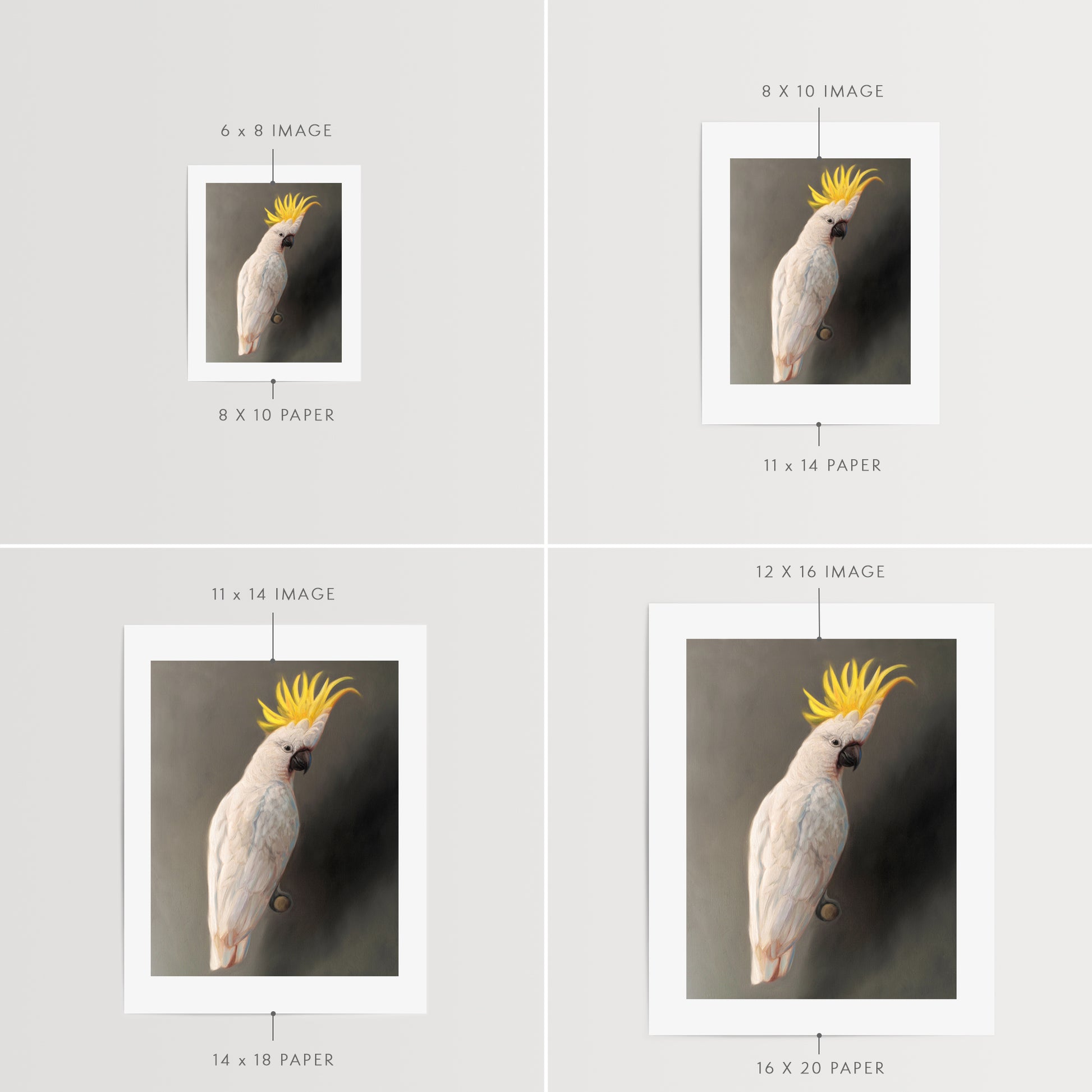 This artwork features a yellow crested cockatoo perched adjacent to a dark grey wall with dramatic side lighting.