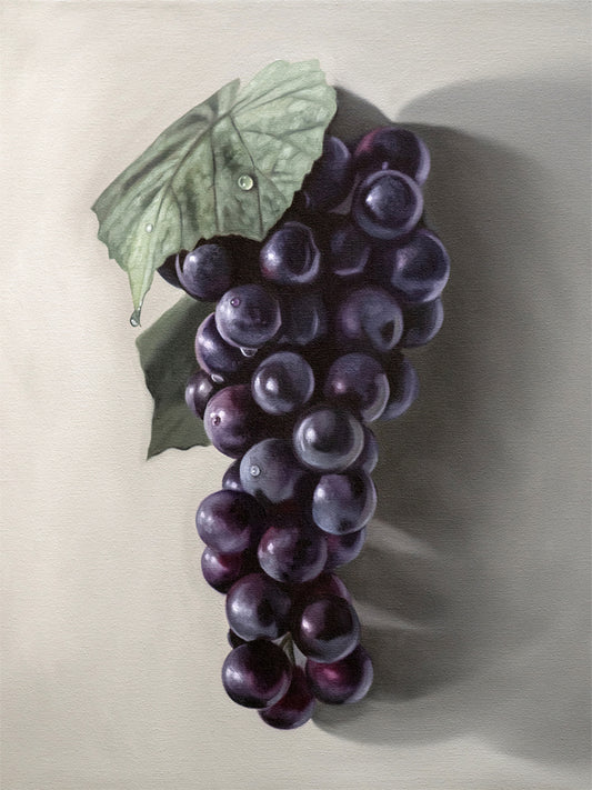 This artwork features a fresh bunch of Concord grapes resting on a light grey surface with some nice dramatic lighting.