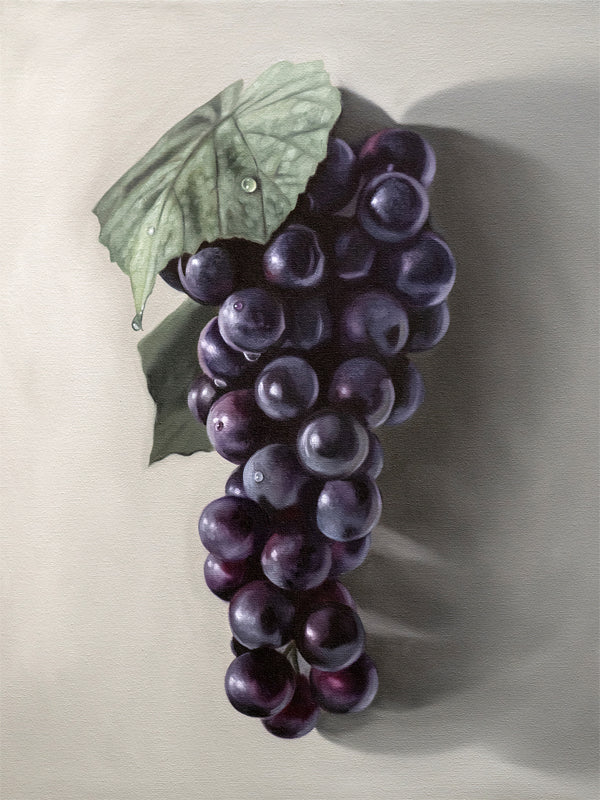 This artwork features a fresh bunch of Concord grapes resting on a light grey surface with some nice dramatic lighting.