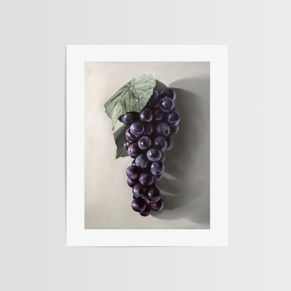 This artwork features a fresh bunch of Concord grapes resting on a light grey surface with some nice dramatic lighting.