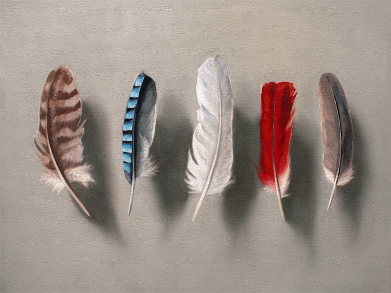 This artwork features a set of 5 feathers floating above a light grey surface.