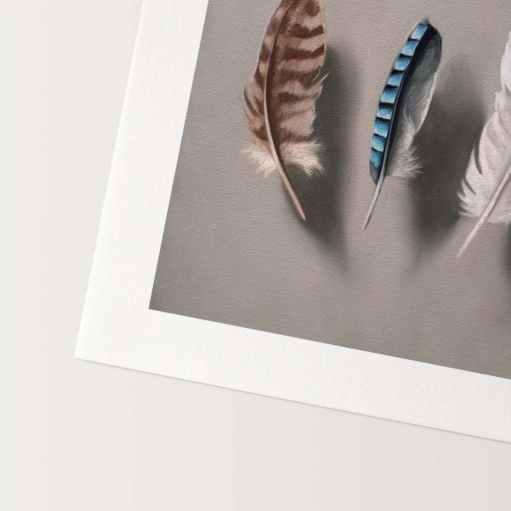 This artwork features a set of 5 feathers floating above a light grey surface.