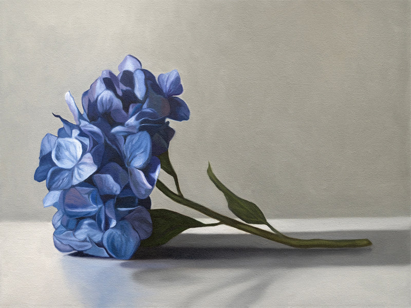 This artwork features a bouquet of blue hydrangeas resting on a light surface with a neutral background.
