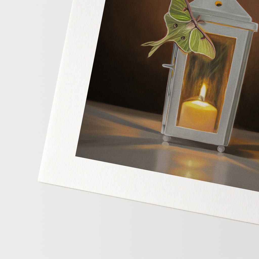This artwork features a pair of Luna Moths attracted to a flame in a white candle lantern.