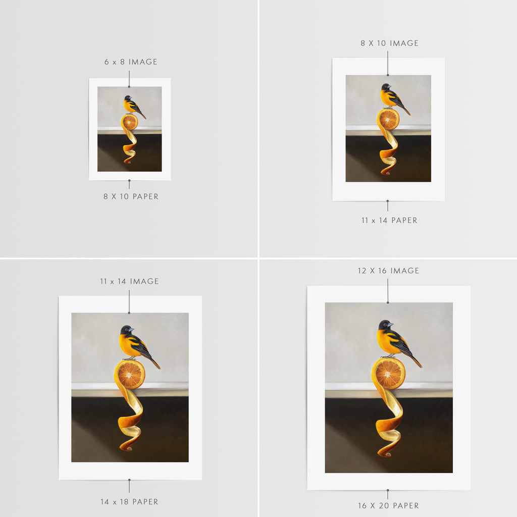 This artwork features a Baltimore Oriole perched on top of an orange twist that rests on a white shelf.