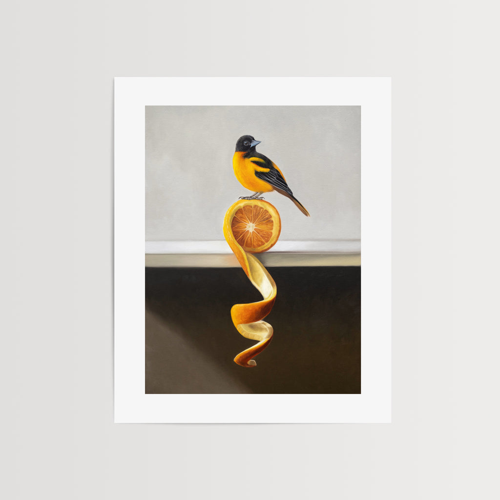 This artwork features a Baltimore Oriole perched on top of an orange twist that rests on a white shelf.