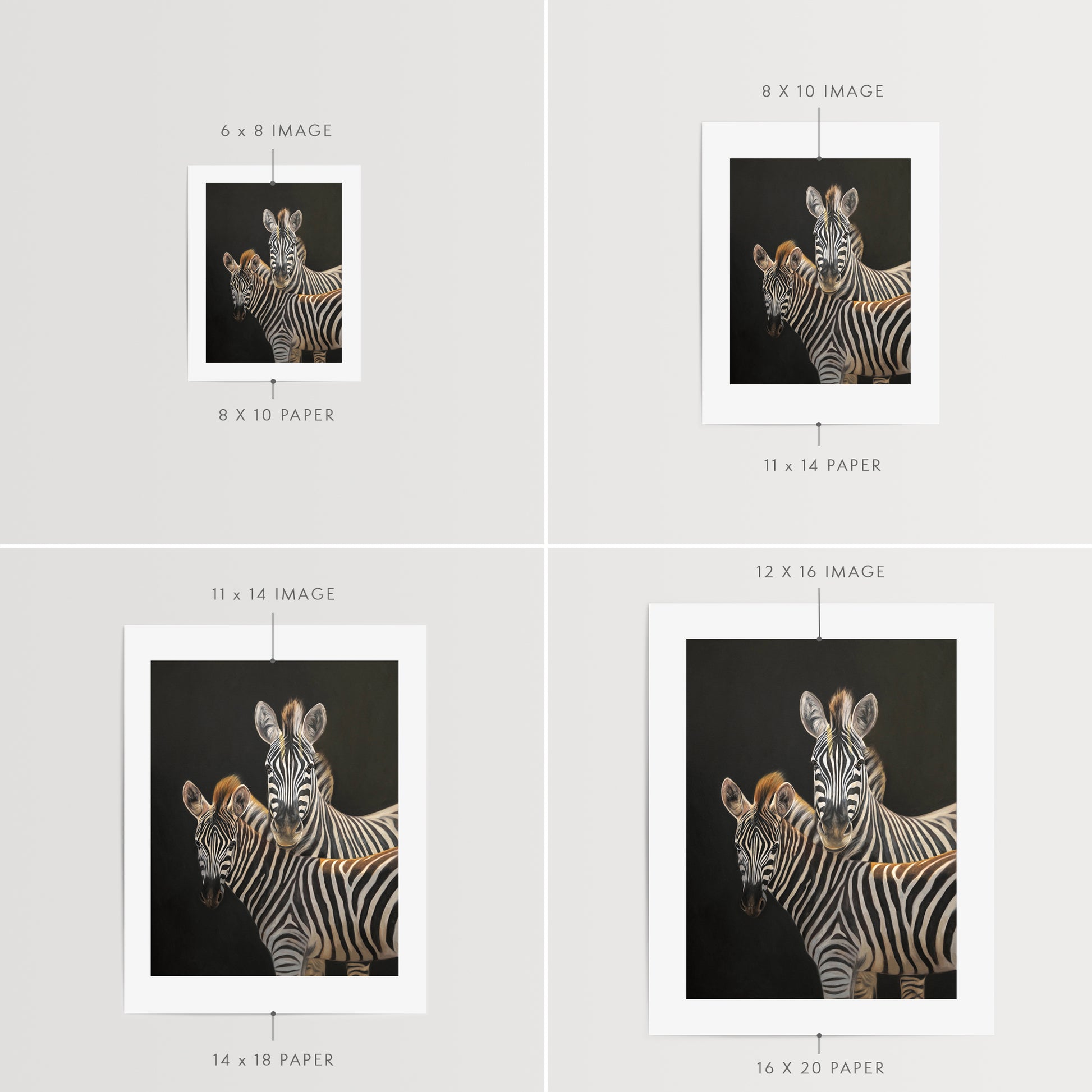 This artwork features a mother and foal zebra with some nice golden backlighting with a neutral dark grey background.