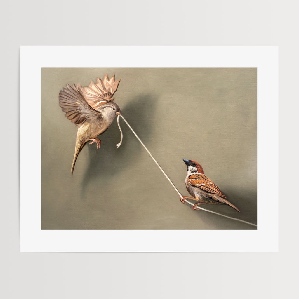 This artwork features a pair of house sparrows playing with a piece of white string