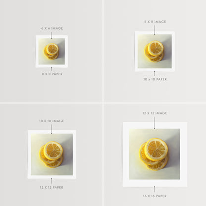 This artwork features a trio of lemon slices stacked on one another.