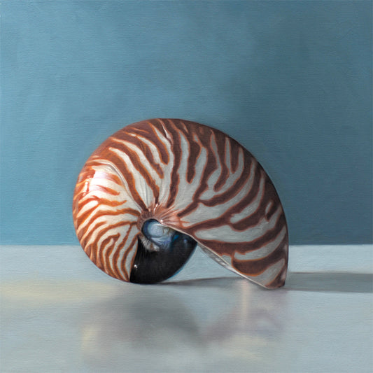 This artwork features a nautilus shell resting on a light, reflective surface with dramatic lighting and a blue background.