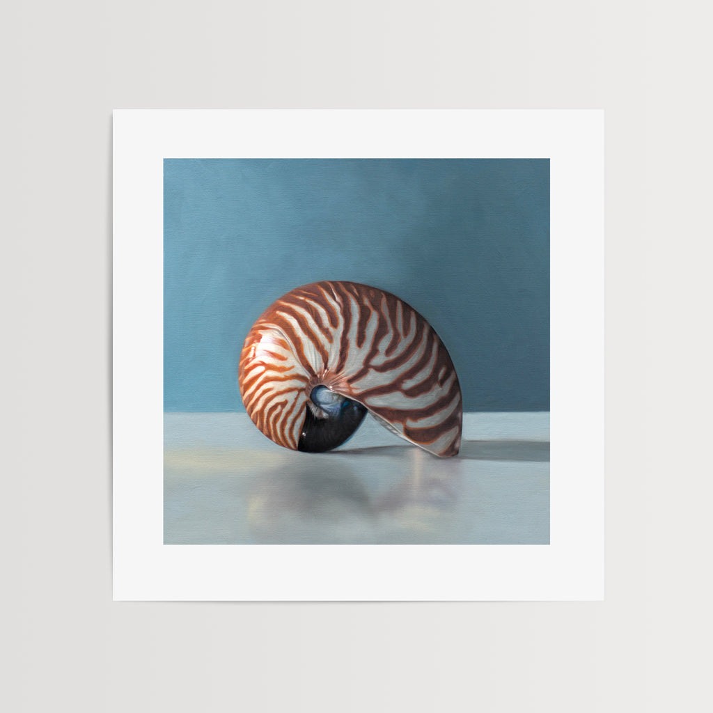This artwork features a nautilus shell resting on a light, reflective surface with dramatic lighting and a blue background.