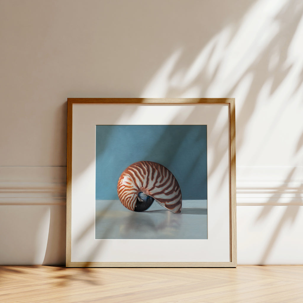This artwork features a nautilus shell resting on a light, reflective surface with dramatic lighting and a blue background.