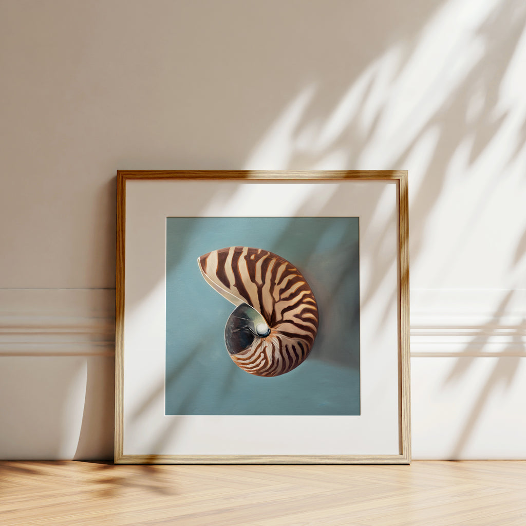 This artwork features a beautifully striped nautilus shell resting on a light blue surface.