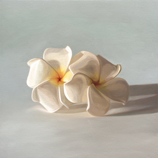 This artwork features a pair of white plumeria blossoms resting on a light bluegrey surface.