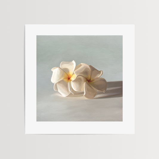 This artwork features a pair of white plumeria blossoms resting on a light bluegrey surface.