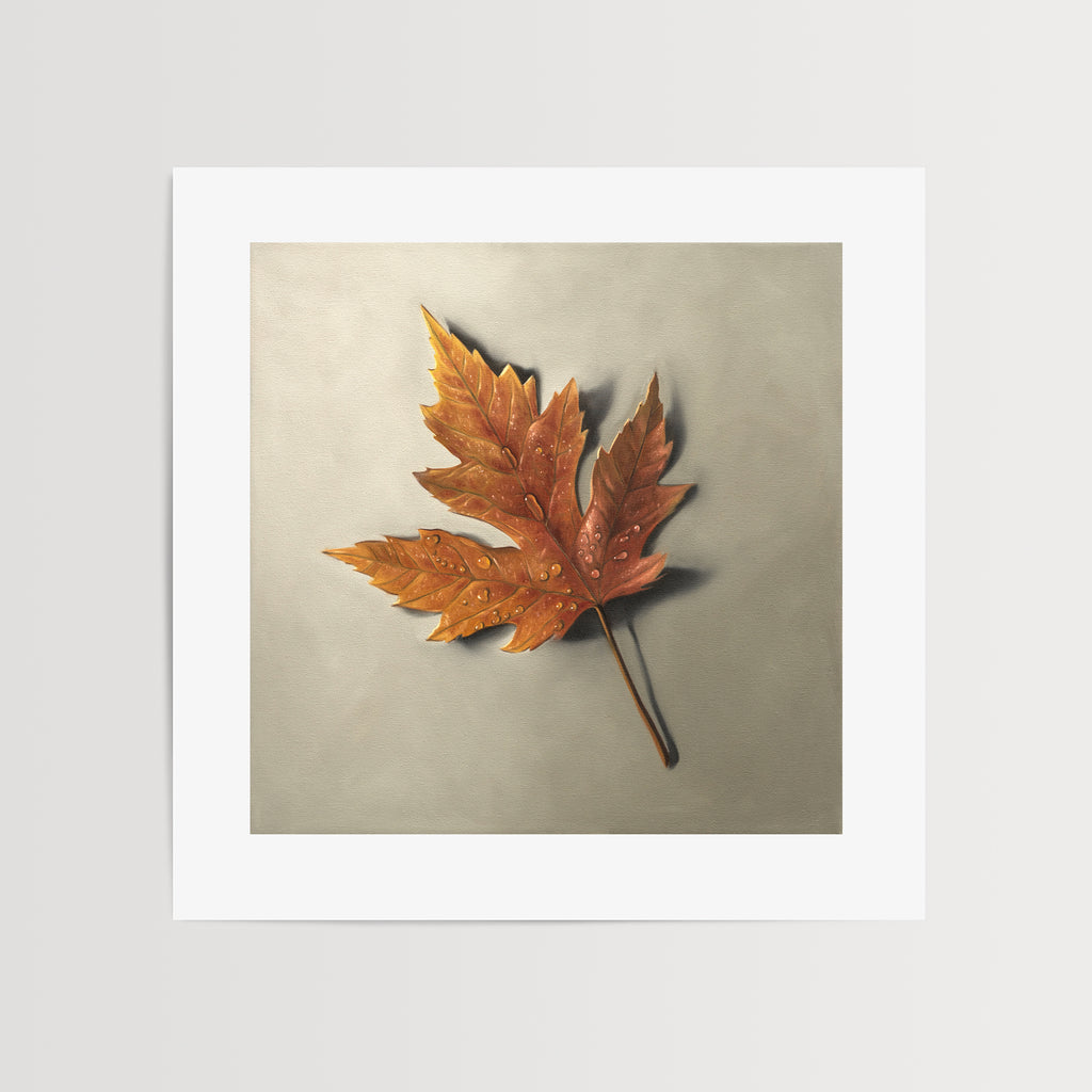 This artwork features a raindrop covered maple leaf in its Autumn colors resting on a light grey surface. I do love the warmth of summer and those bright sunny days, but there is something special about the cooler softly-raining days of Autumn where you cozy up with a book and nice cup of coffee.