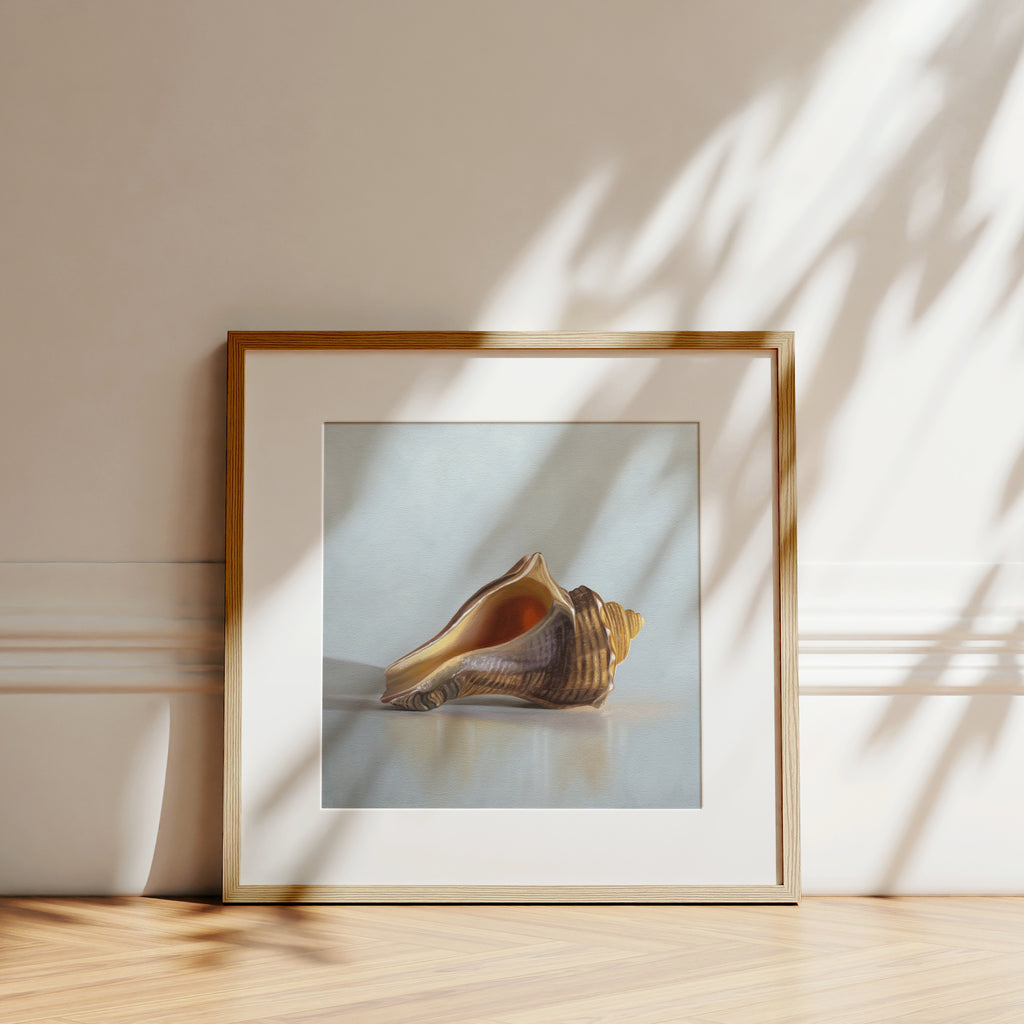 This artwork features a single seashell resting on a light neutral blue surface with some nice dramatic lighting.