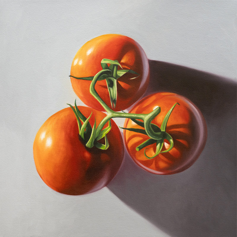 This artwork features a trio of tomatoes on the vine from above with some nice dramatic lighting.