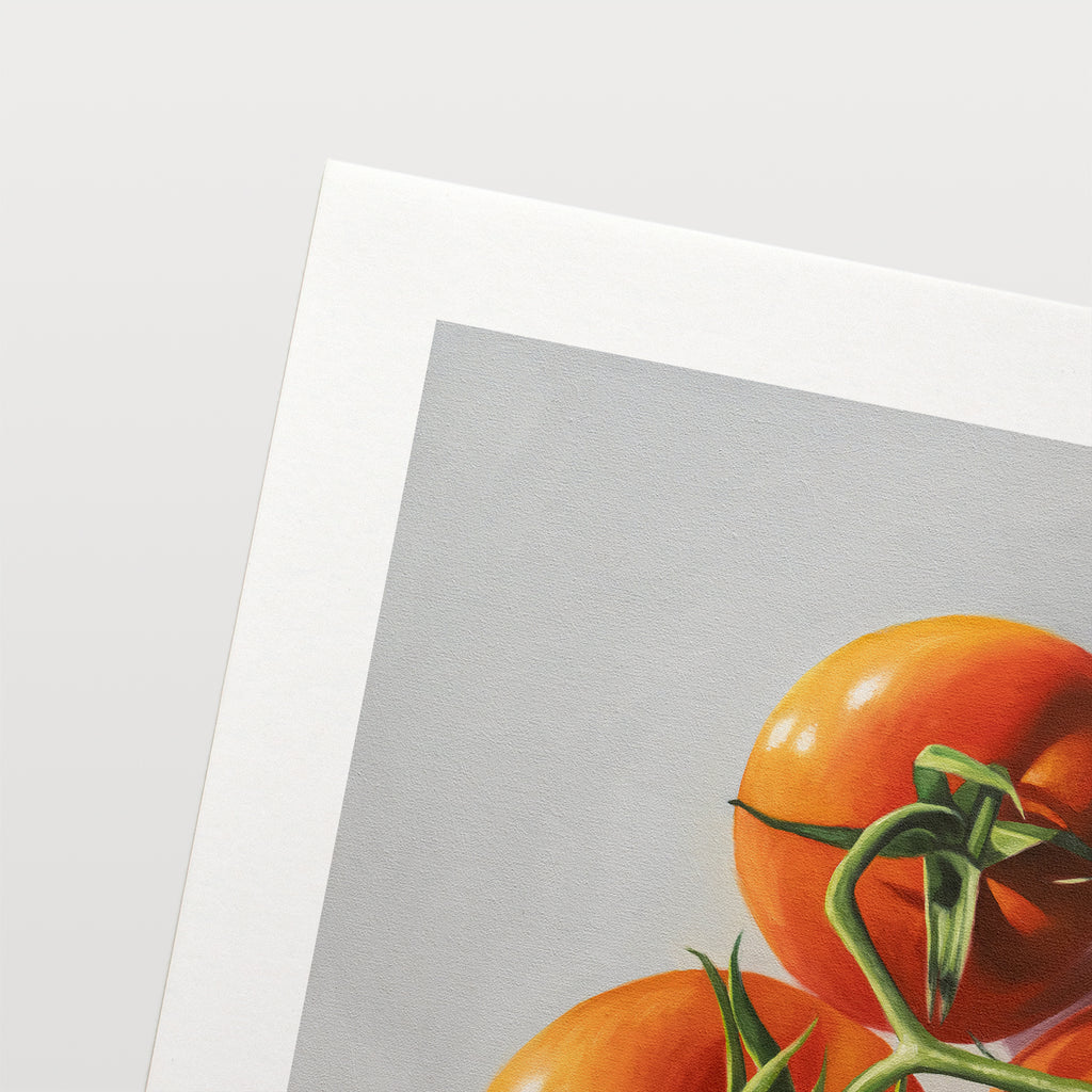 This artwork features a trio of tomatoes on the vine from above with some nice dramatic lighting.