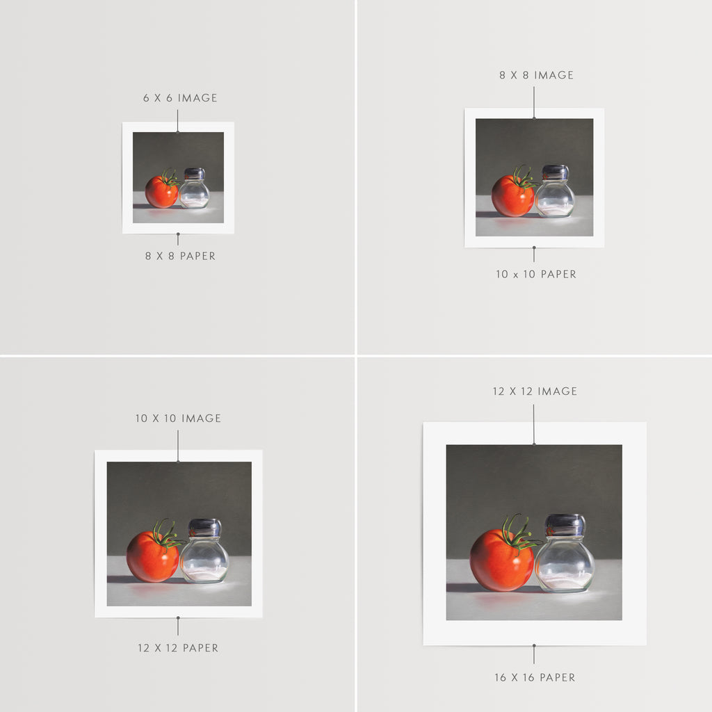 This artwork features a single fresh garden tomato situated by a reflective salt shaker.