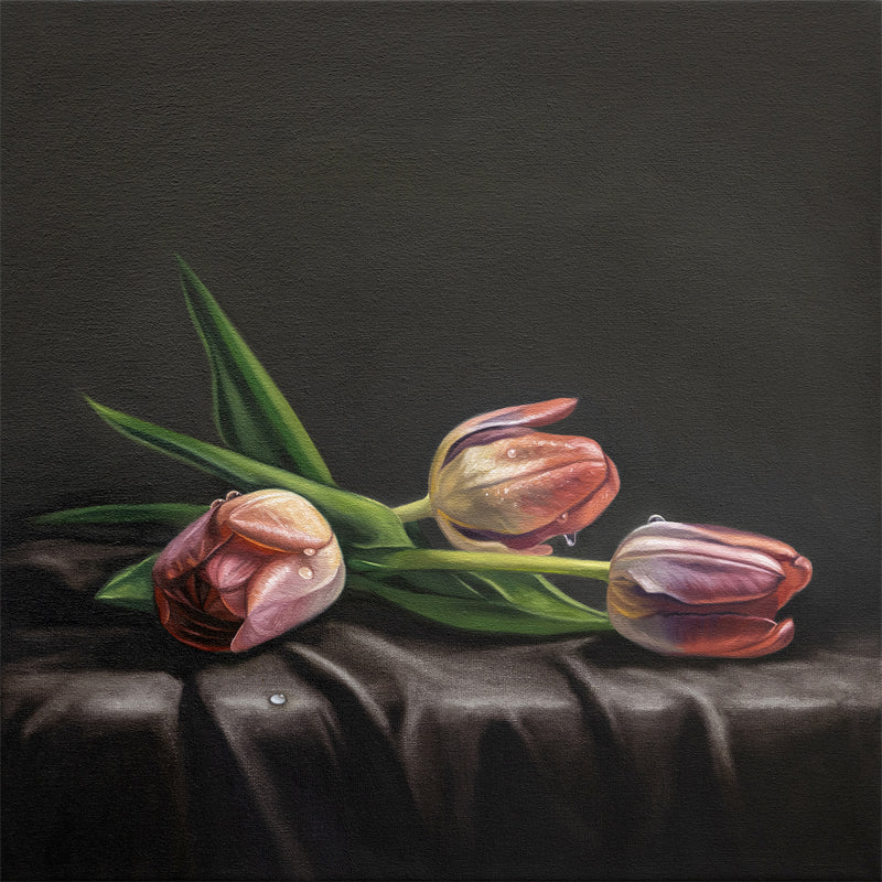 This artwork features a trio of dew drop tulips resting on draped dark satin fabric.