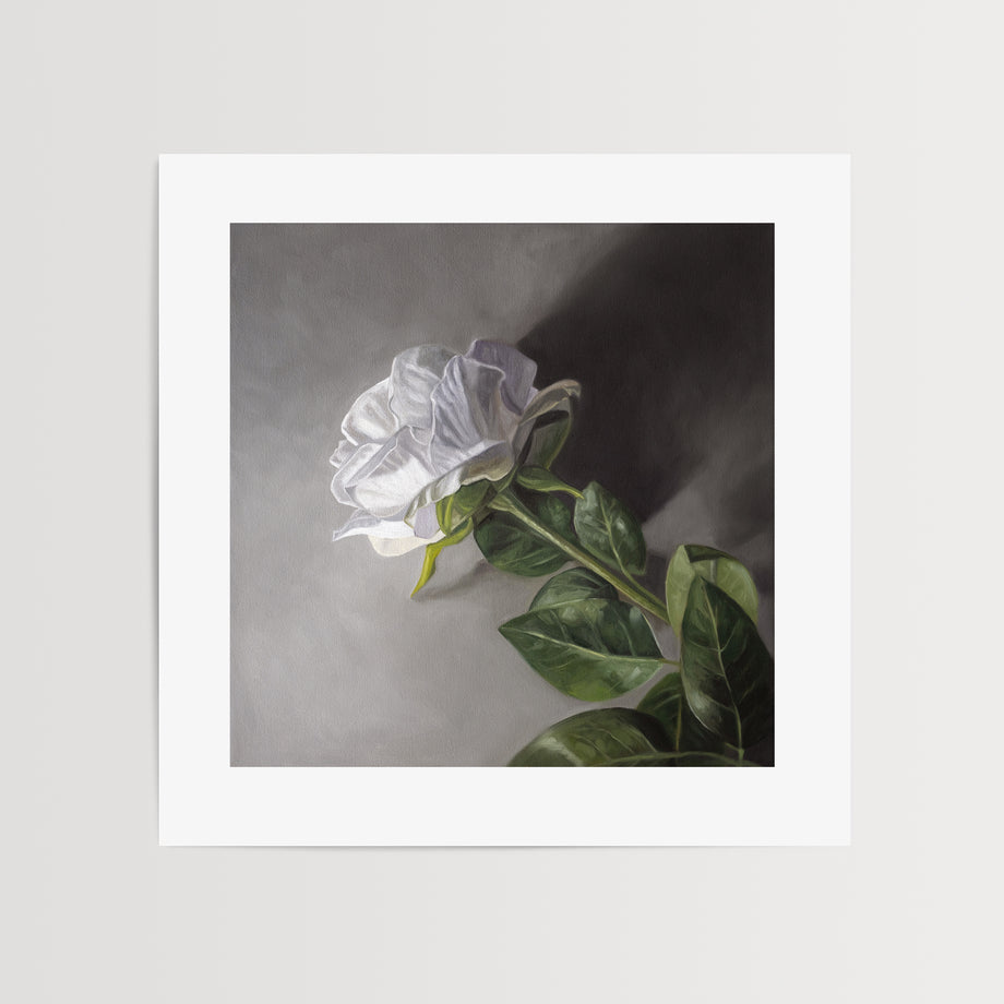 Beautiful Painting Of A Rose - Art Prints