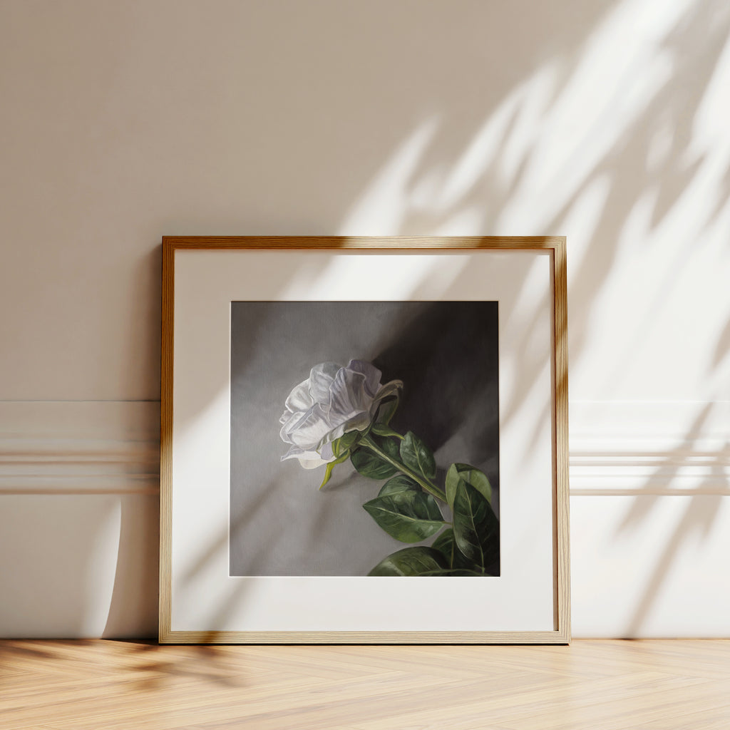 This artwork features a single white rose resting on a grey surface with some nice dramatic side-lighting.