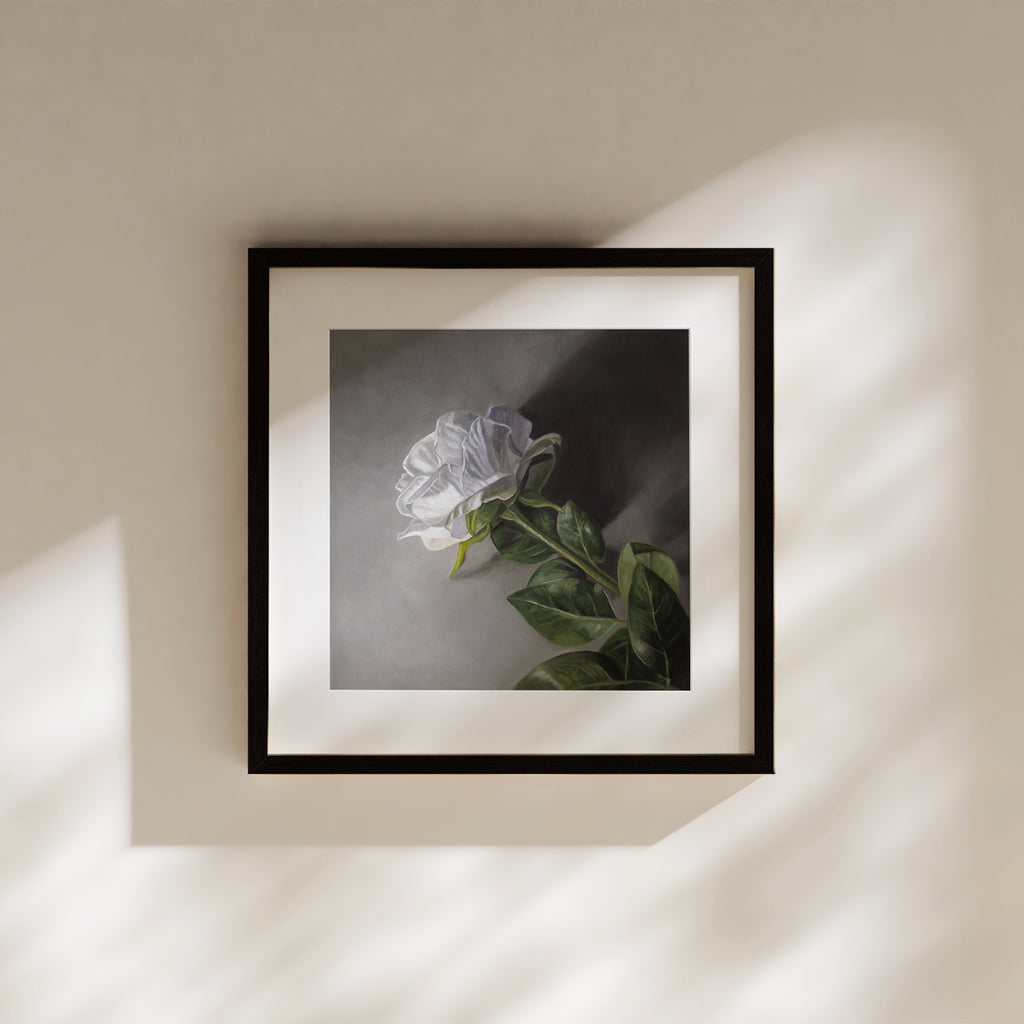 This artwork features a single white rose resting on a grey surface with some nice dramatic side-lighting.