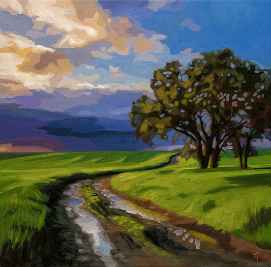 Passing Storm • 12 x 12