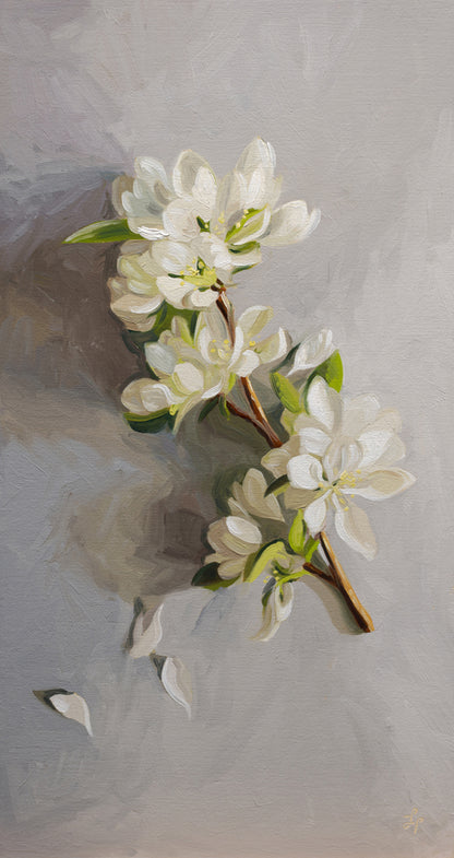 Crabapple Blossoms • 6-1/2" x 12"