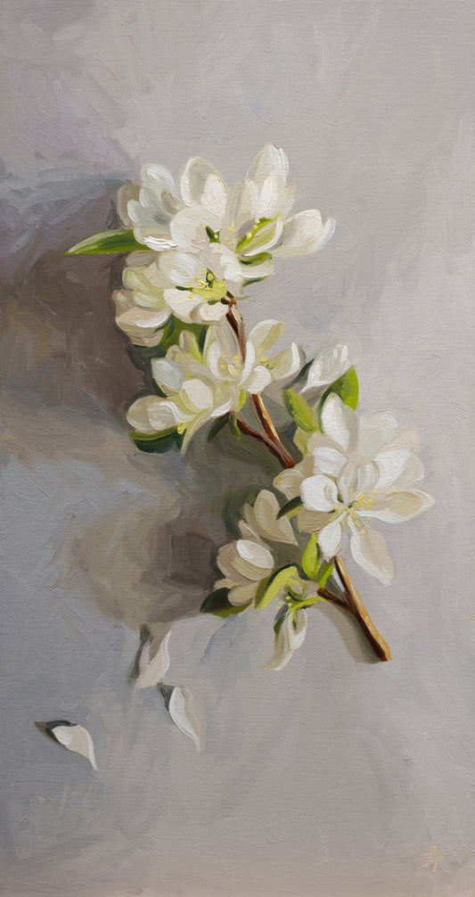 Crabapple Blossoms • 6-1/2" x 12"