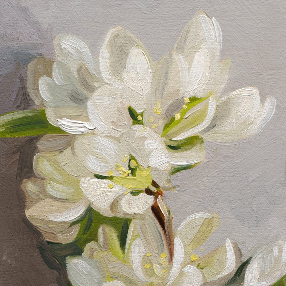Crabapple Blossoms • 6-1/2" x 12"