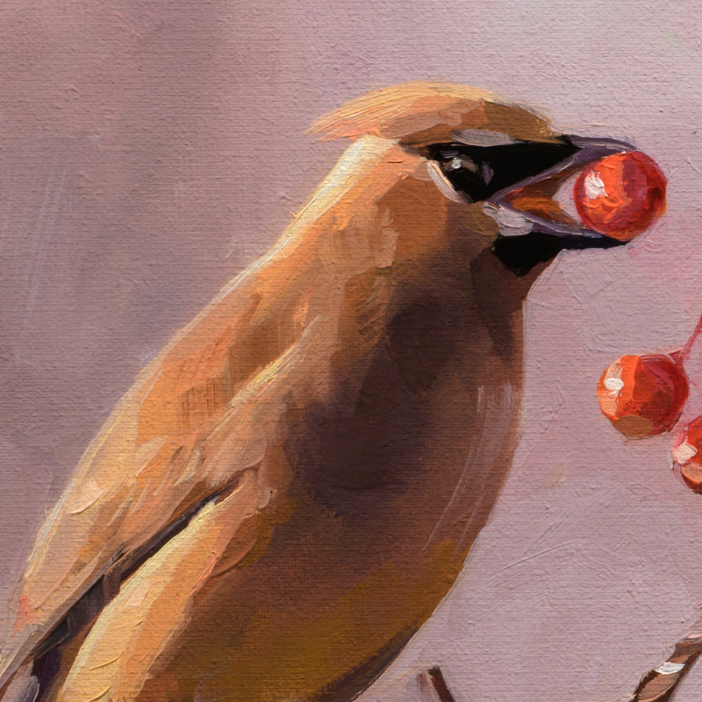 Autumn Cedar Waxwings • 14 x 11
