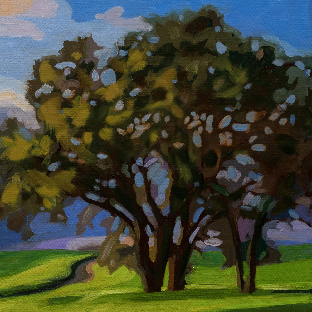 Passing Storm • 12 x 12