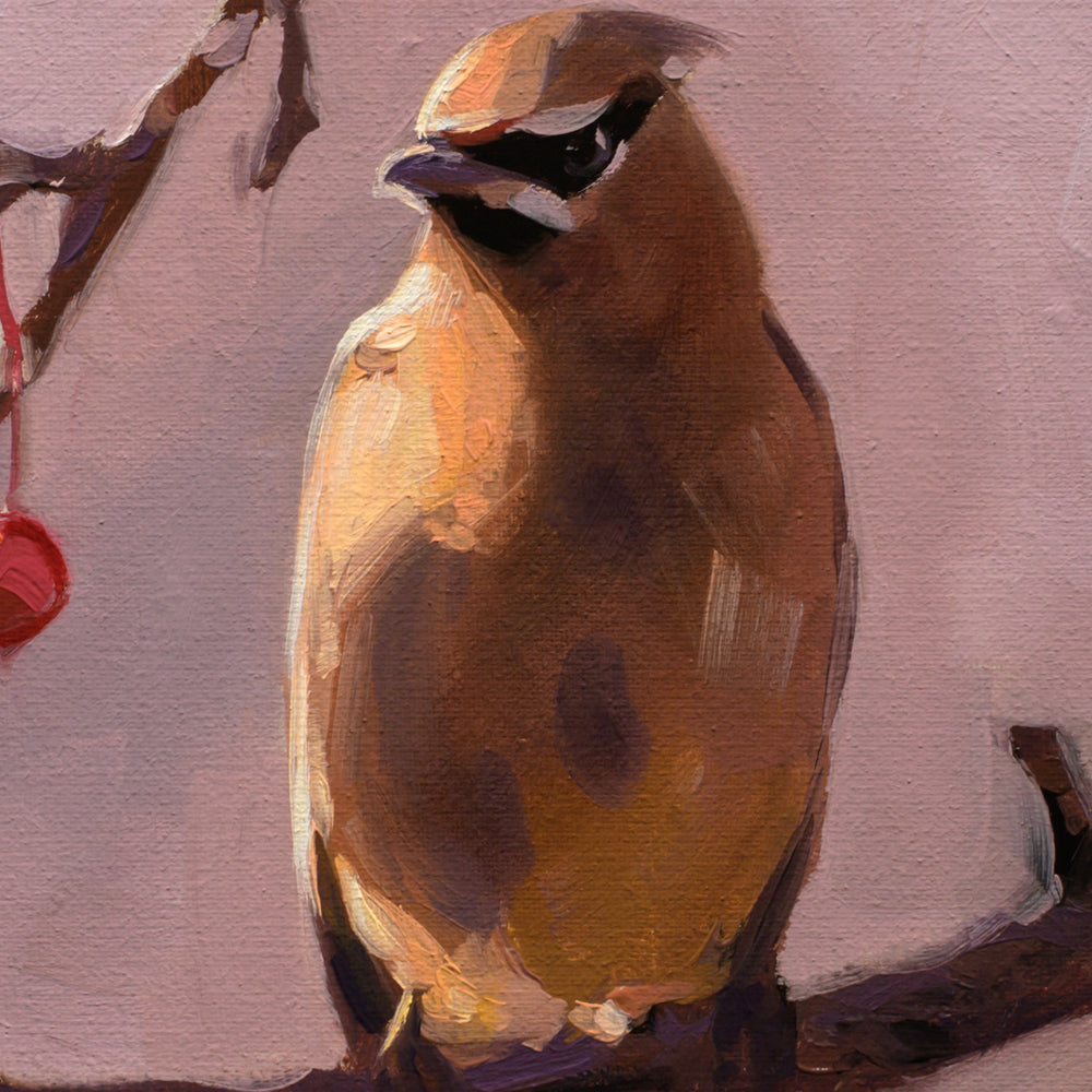 Autumn Cedar Waxwings • 14 x 11