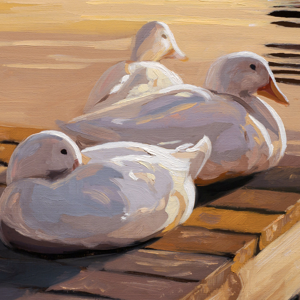 Ducks at Sunset • 14 x 11