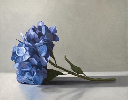 Blue Hydrangeas