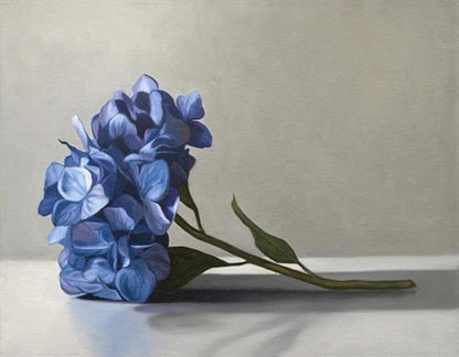 Blue Hydrangeas