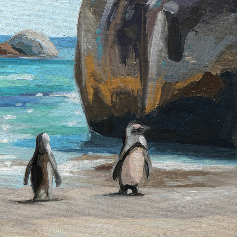 Boulders Beach Penguins • 12 x 12