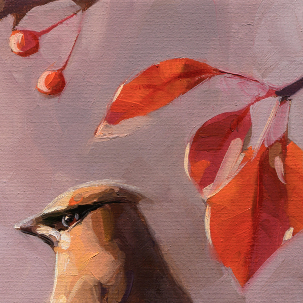 Autumn Cedar Waxwings • 14 x 11