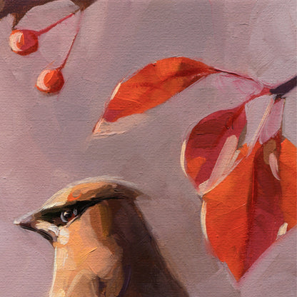 Autumn Cedar Waxwings • 14 x 11