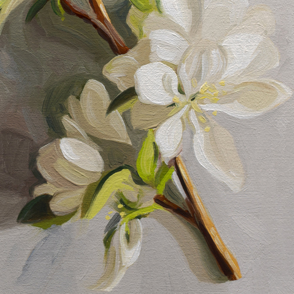 Crabapple Blossoms • 6-1/2" x 12"