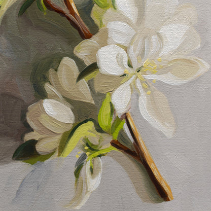 Crabapple Blossoms • 6-1/2" x 12"