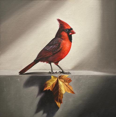 Cardinal & Maple Leaf