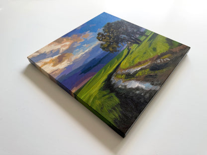 Passing Storm • 12 x 12
