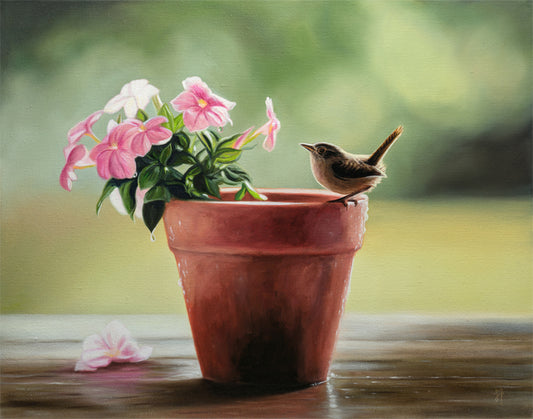 House Wren & Blossoms | 14" x 11" Original Oil Painting