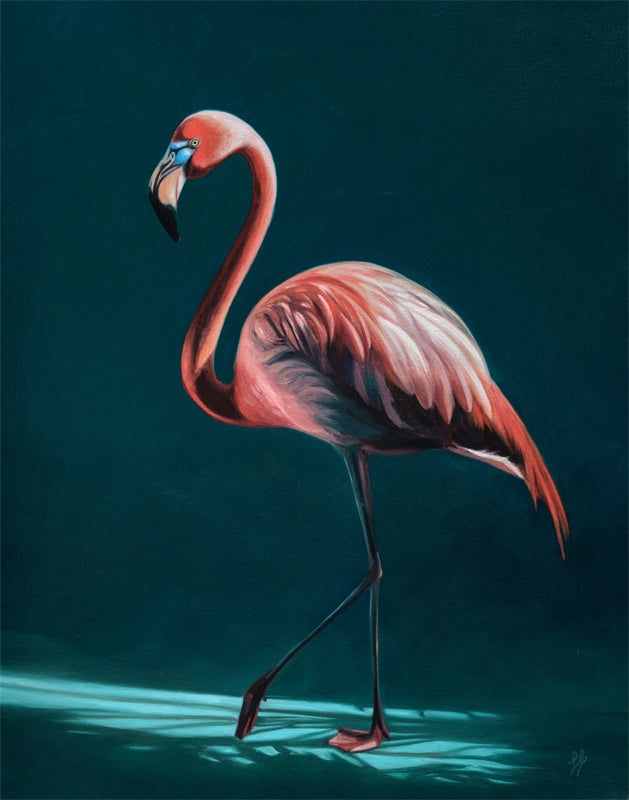 Flamingo