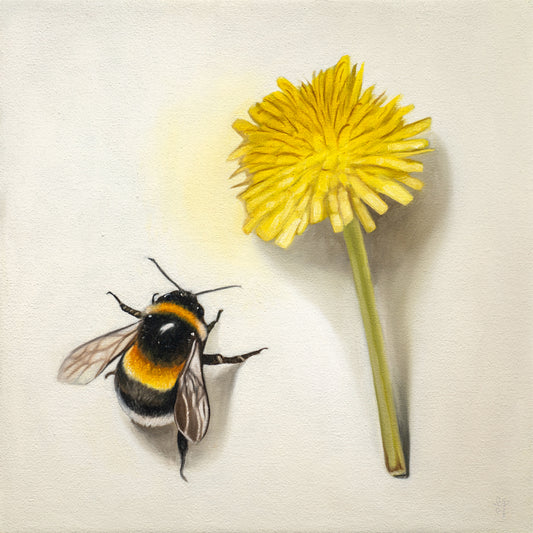 Bumble Bee & Dandelion