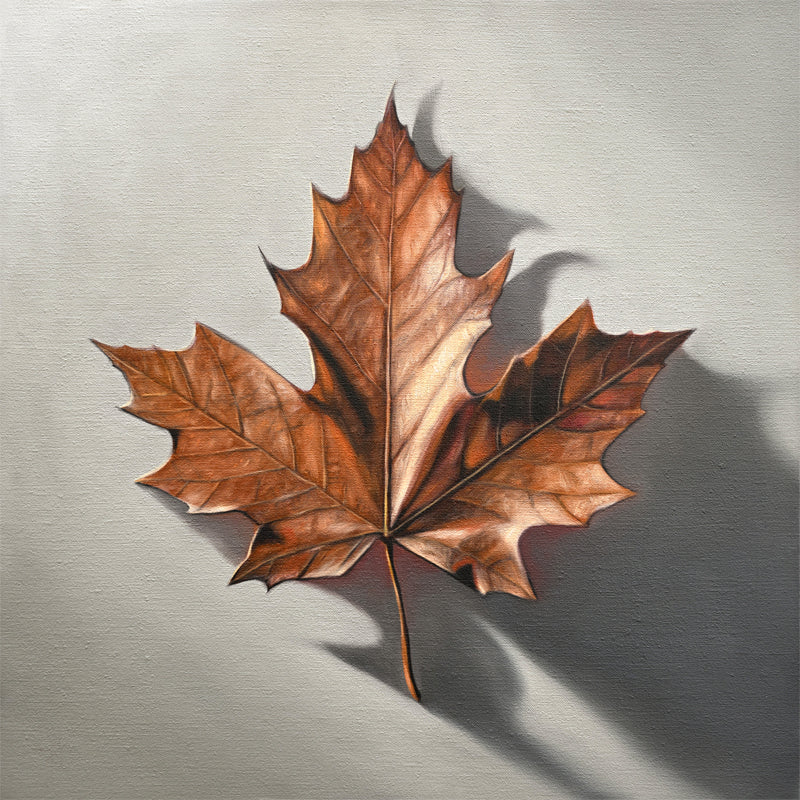 Maple Leaf